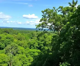 Região de Bussocaba para quem busca áreas verdes