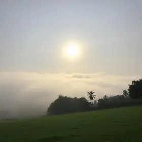 Previsão do tempo hoje para Osasco (SP): dia de sol, com nevoeiro ao amanhecer; as nuvens aumentam no decorrer da tarde