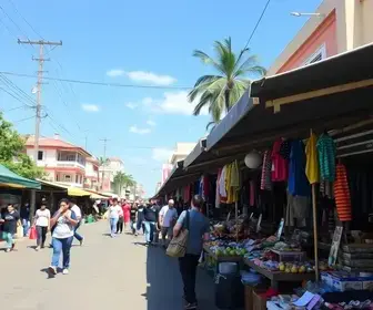 Guia das feiras livres de Osasco