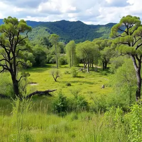 Parque Ecológico Antônio Calderón
