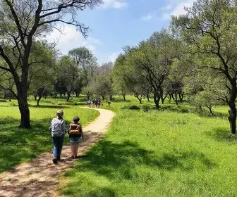 Roteiro pelo Parque Dionísio Alvarez Mateos