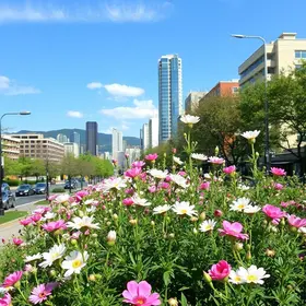 Osasco na primavera
