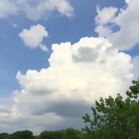 Previsão do tempo hoje para Osasco (SP): sol com algumas nuvens e chuva passageira durante o dia; à noite o tempo fica firme