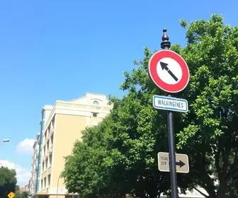 Caminhada pelos símbolos urbanos de Osasco