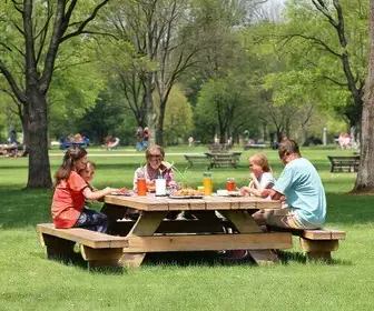 Roteiro de piquenique nos parques públicos